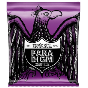 Ernie Ball 2020 Paradigm Power Slinky